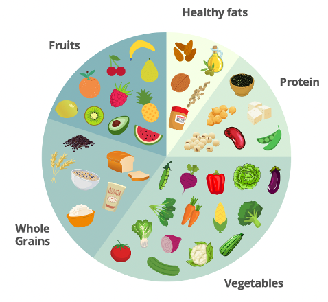 The Balanced Food Plate